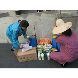 灭老鼠的服务,康泰有害生物防治(在线咨询),枣庄灭老鼠