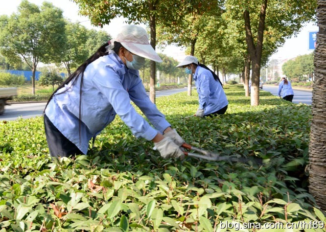 昌都市怎么考有害生物防治员分等级吗报名地址ol-咨询培训社区